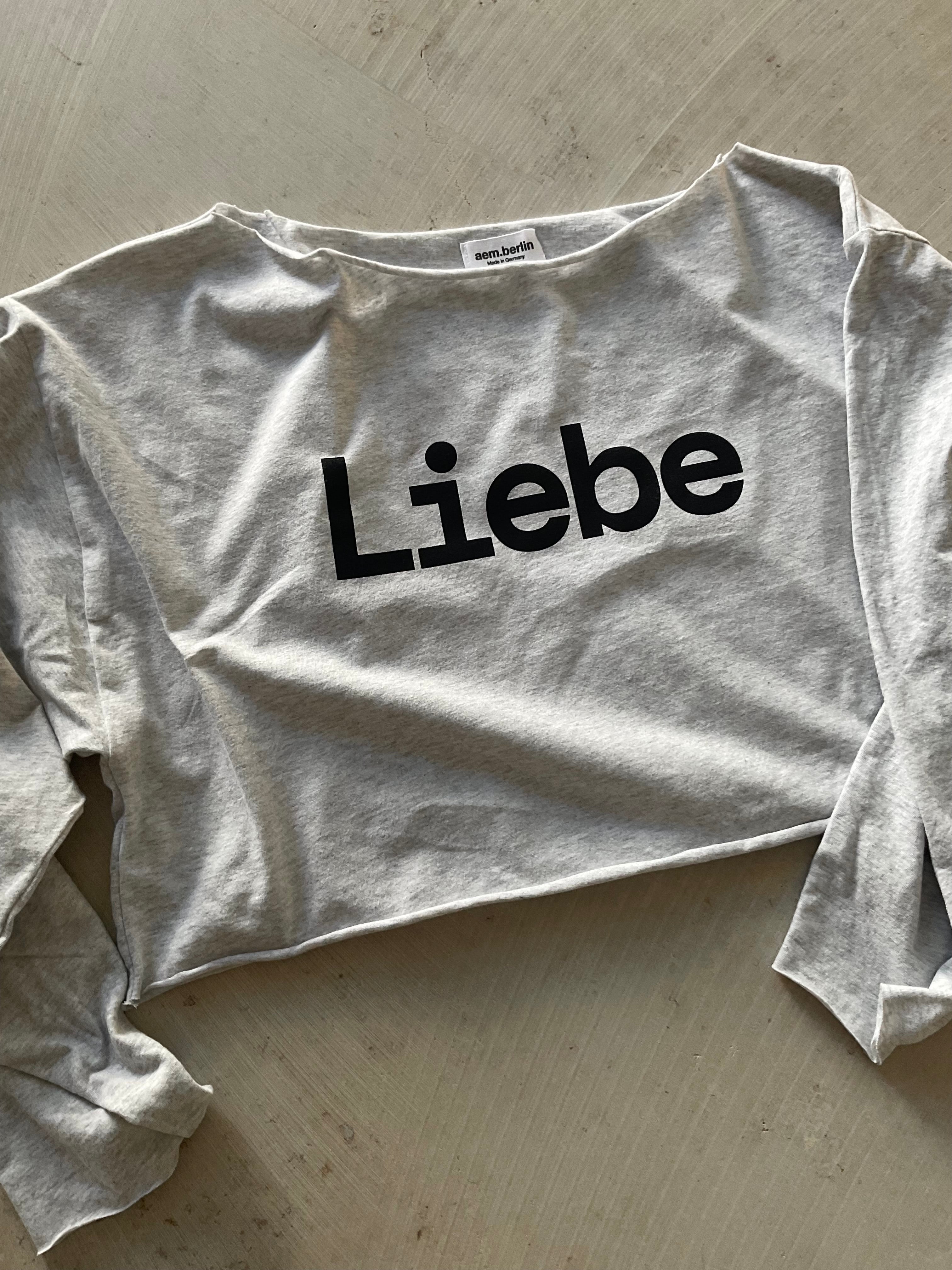 Jane — Liebe Long Sleeve Top  crop