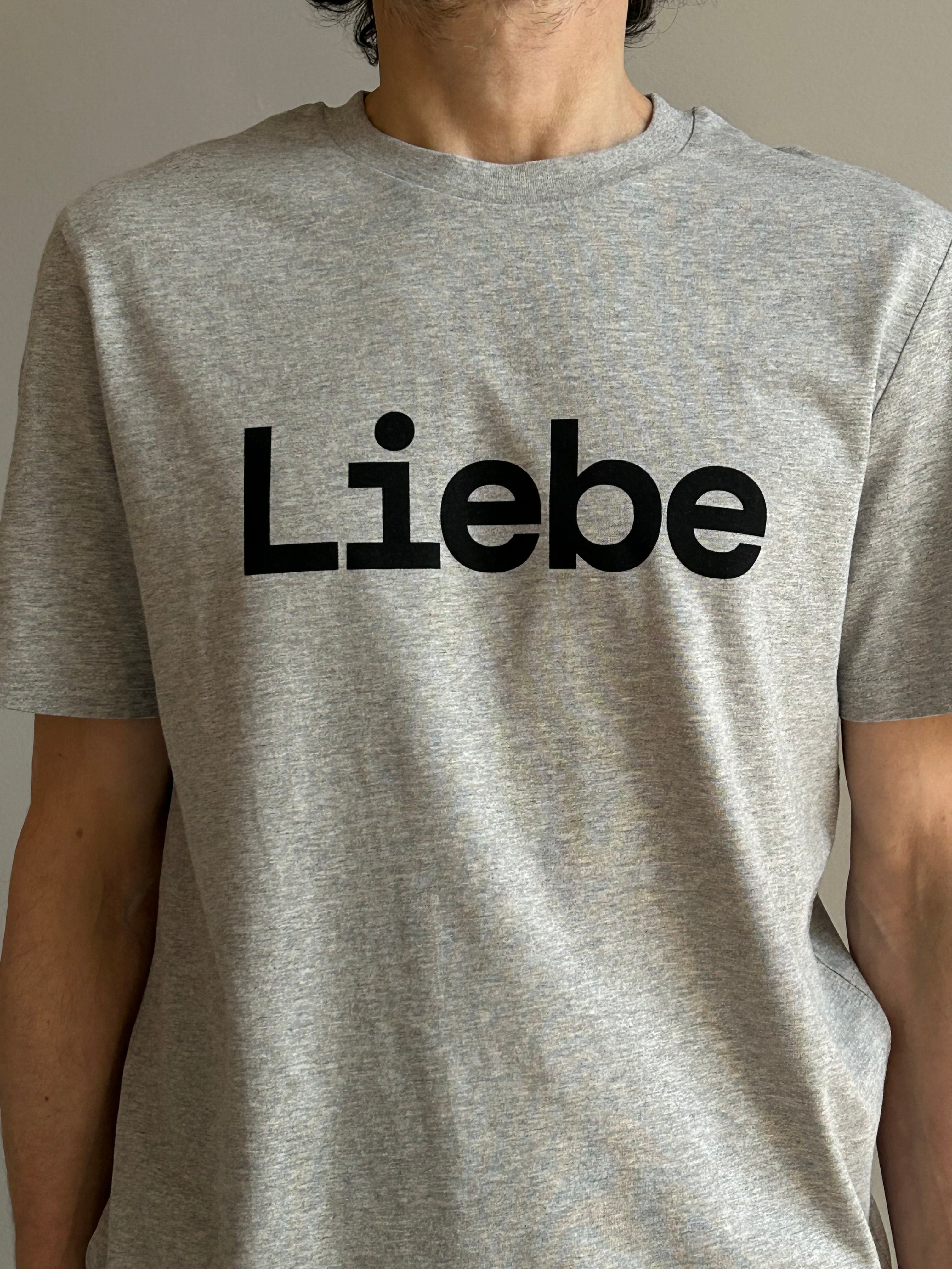 AEM  tshirt LIEBE grey