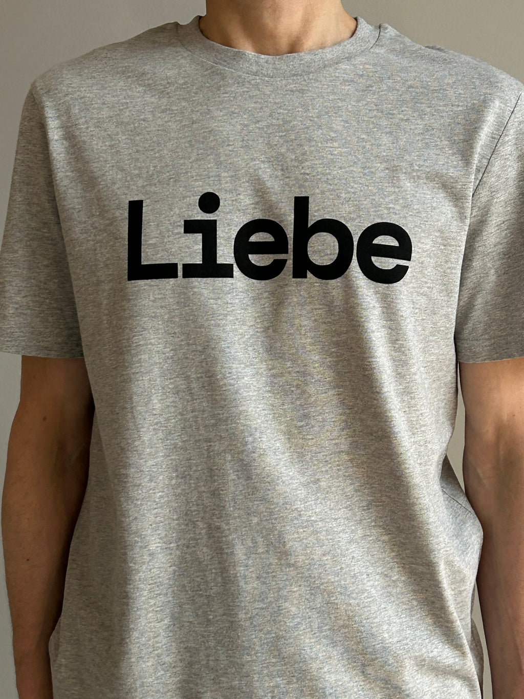 AEM  tshirt LIEBE grey