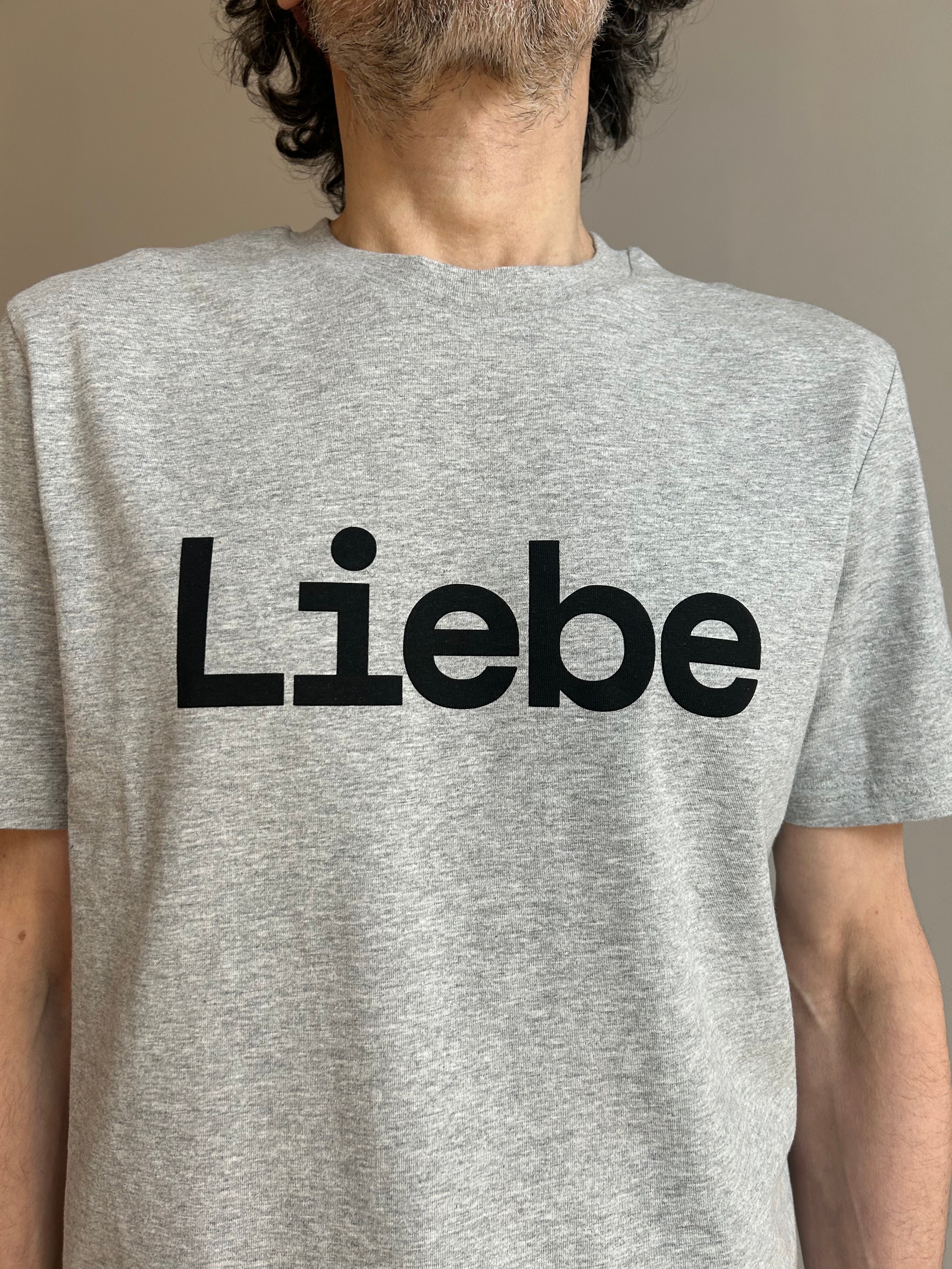 AEM  tshirt LIEBE grey