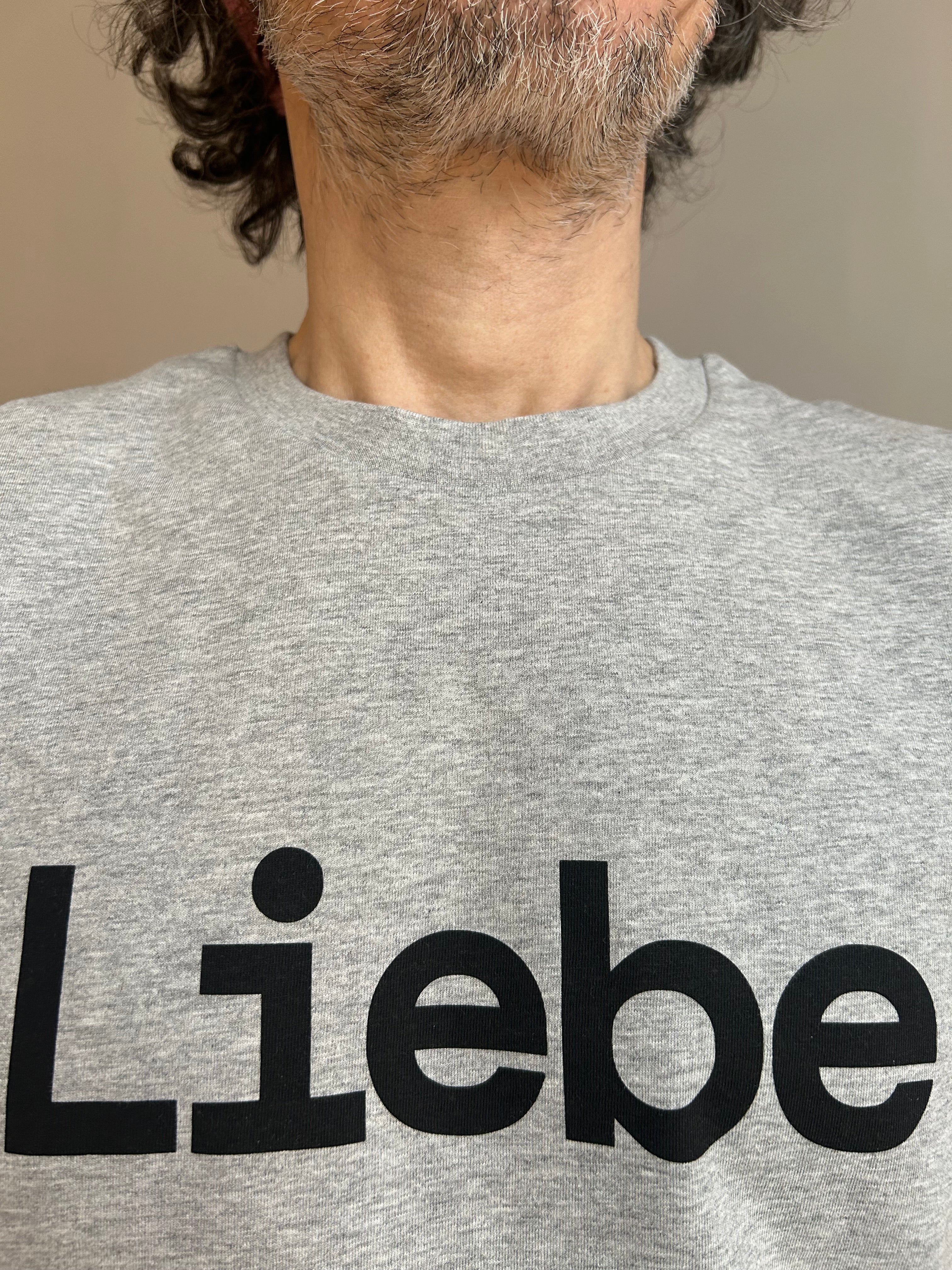 AEM  tshirt LIEBE grey