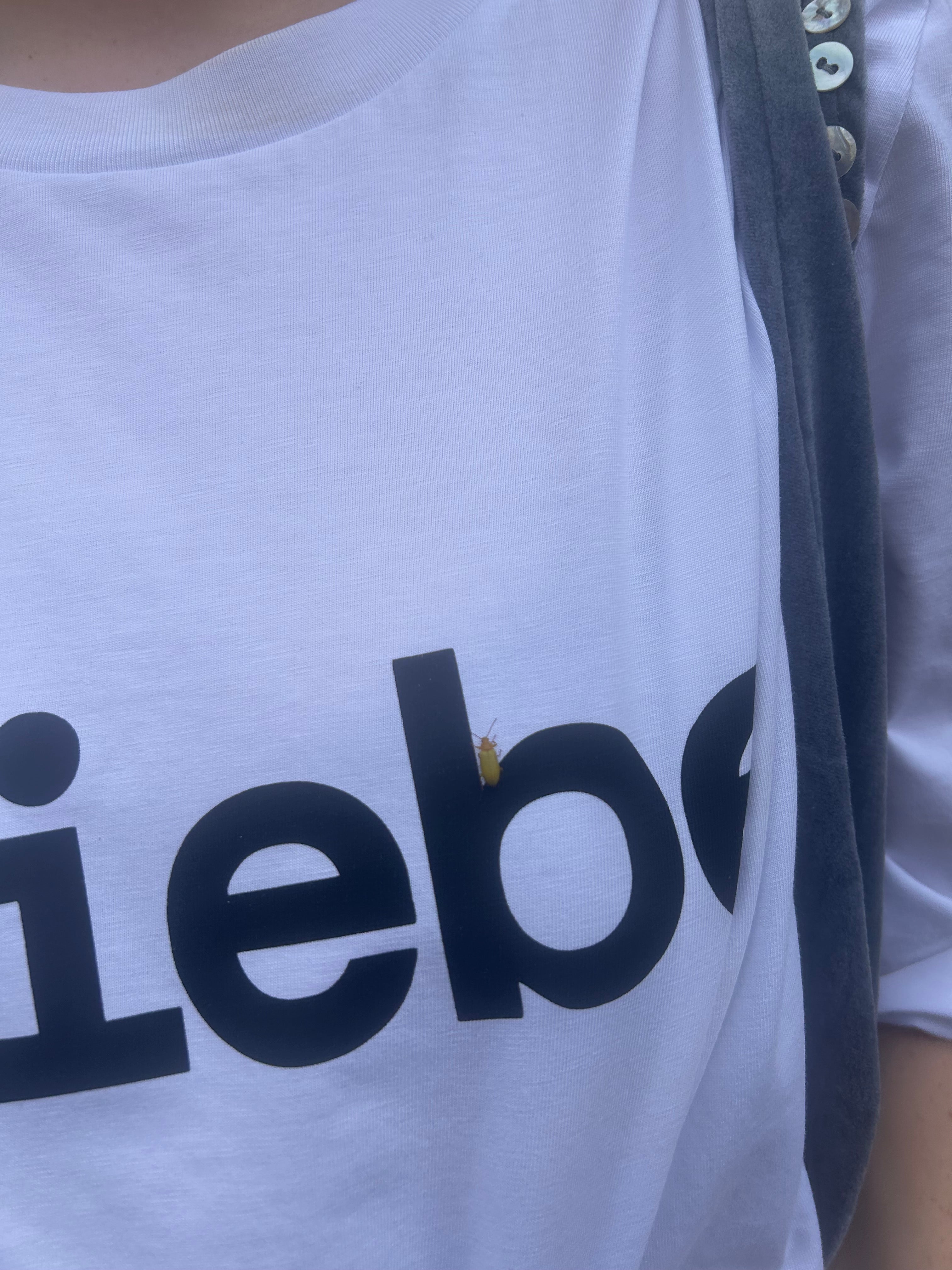 Liebe Long Sleeve – Organic Cotton white